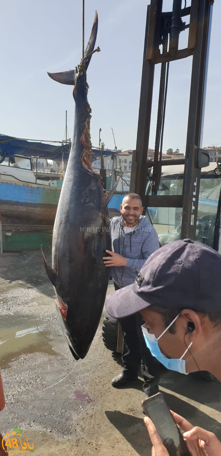  صور: اصطياد سمكتي تونة عملاقة من بحر مدينة يافا 